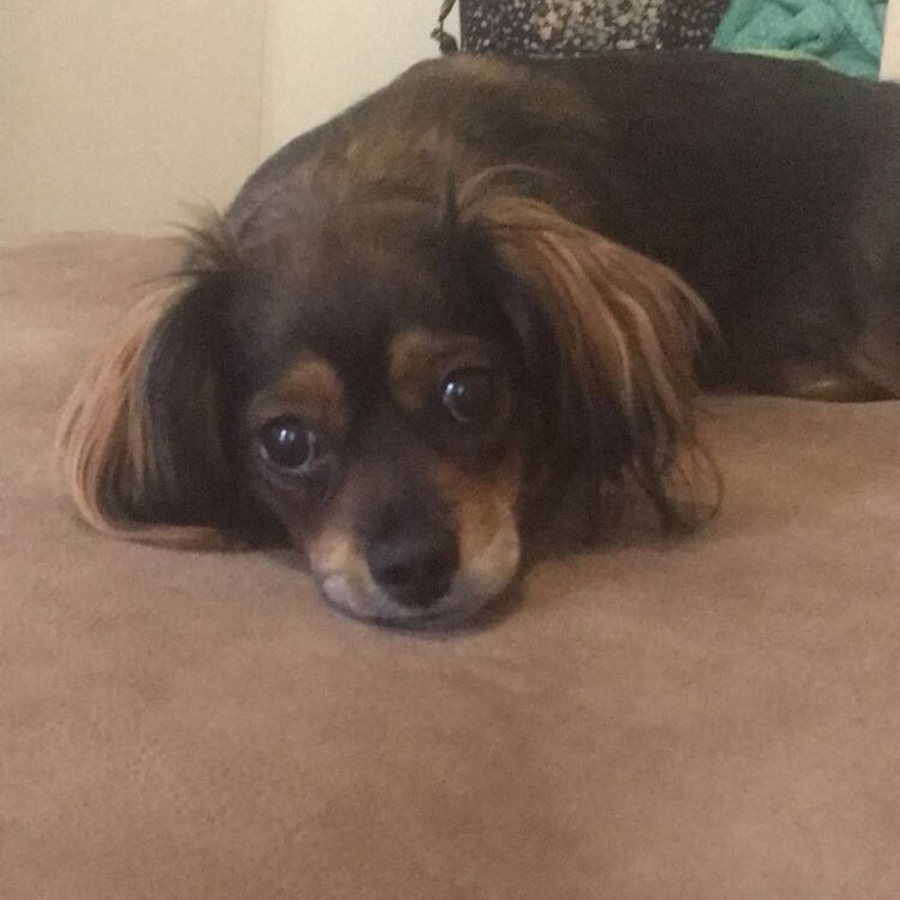 Meet your Posher, Trinity